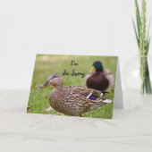 Ik ben de zo Droevige Kaart van de Eend (Voorkant)