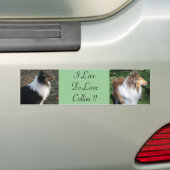 Ik ben dol op Collies !! Bumpersticker (Op auto)