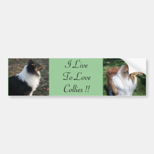 Ik ben dol op Collies !! Bumpersticker