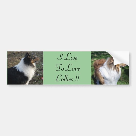 Ik ben dol op Collies !! Bumpersticker (Voorkant)