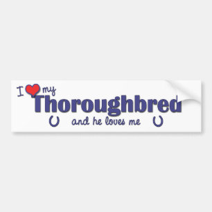 Ik ben dol op mijn Thoroughbred (mannelijk paard) Bumpersticker