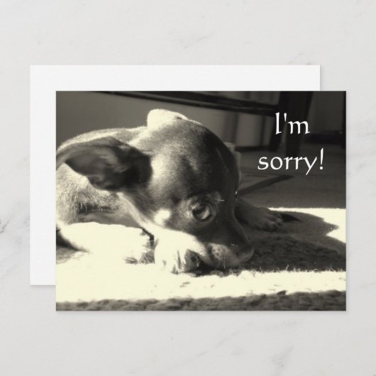 Ik ben droevig! briefkaart (Voorkant / Achterkant)