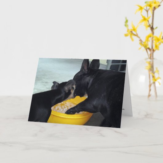 Ik ben Droevig Kaart (Gele Bloem)