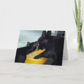 Ik ben Droevig Kaart (Voorkant)