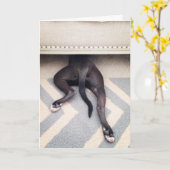 Ik ben droevig wenskaart kaart (Gele Bloem)