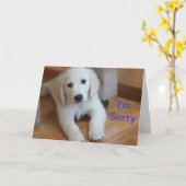 Ik ben Droevige verontschuldigingskaart Kaart (Gele Bloem)