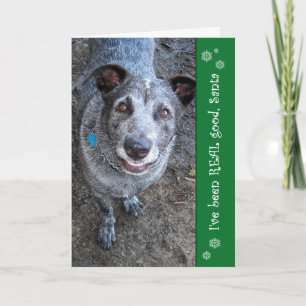 Ik ben ECHTE Goede Kerstman   Kerstkaarten geweest Feestdagen Kaart