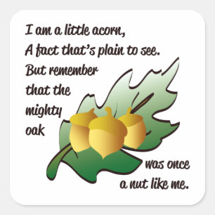 "Ik ben een beetje een eikel" gedicht Vierkante Sticker