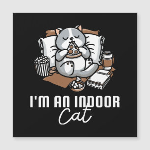 Ik ben een binnenkat - Introverte kat