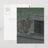 Ik ben een Birdie Briefkaart (Voorkant / Achterkant)