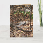 Ik ben een Blad, werkelijk Kaart (Voorkant)