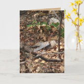 Ik ben een Blad, werkelijk Kaart (Gele Bloem)