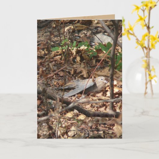 Ik ben een Blad, werkelijk Kaart (Gele Bloem)