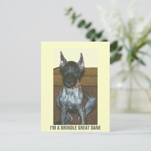 IK BEN EEN BRINDLE GREAT DANE BRIEFKAART (Staand voorkant)