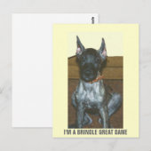 IK BEN EEN BRINDLE GREAT DANE BRIEFKAART (Voorkant / Achterkant)