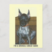 IK BEN EEN BRINDLE GREAT DANE BRIEFKAART (Voorkant)