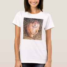 Ik ben een bruidsmeisje T-shirt van de basisbank v