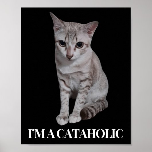 Ik ben een cataholic en een geweldige Mode Poster (Voorkant)