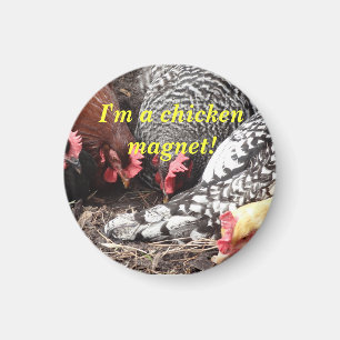 "Ik ben een Chicken Magnet!" magneet