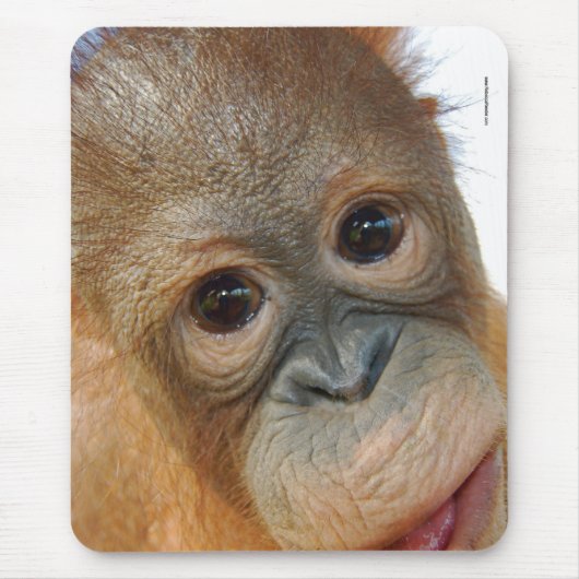 Ik ben een Cute Orangutan foto. Muismat (Voorkant)