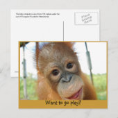 Ik ben een Cute Primate. Briefkaart (Voorkant / Achterkant)