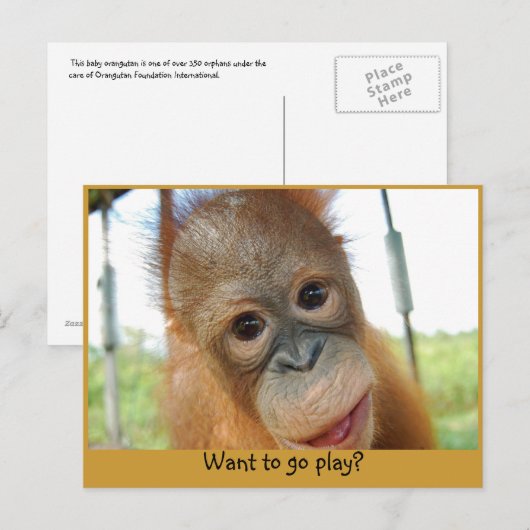 Ik ben een Cute Primate. Briefkaart (Voorkant / Achterkant)