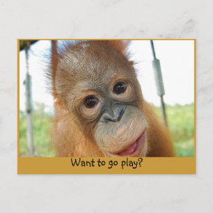 Ik ben een Cute Primate. Briefkaart