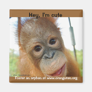 Ik ben een Cute Primate. Magneet