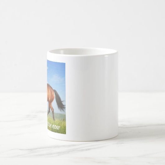 Ik ben een dang-paard, nu aangepaste mok (Center)