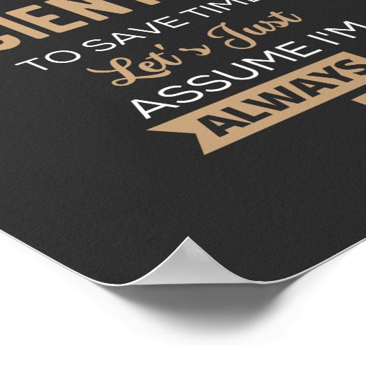 Ik Ben Een Datawetenschapper, Om Tijd Te Besparen  Poster (Hoek)