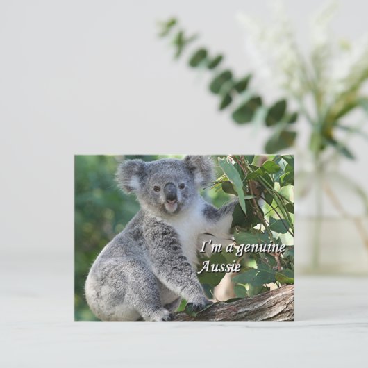 Ik ben een echte Aussie: schattige Australische ko Briefkaart (Staand voorkant)