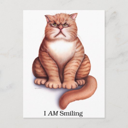 Ik ben een glimlach-kaart briefkaart (Voorkant)