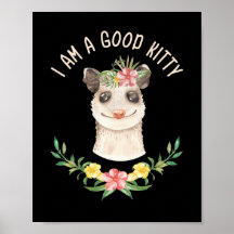 Ik ben een goed Kat grappige Cute Possum Lover Gif