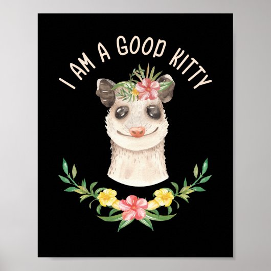 Ik ben een goed Kat grappige Cute Possum Lover Gif Poster (Voorkant)