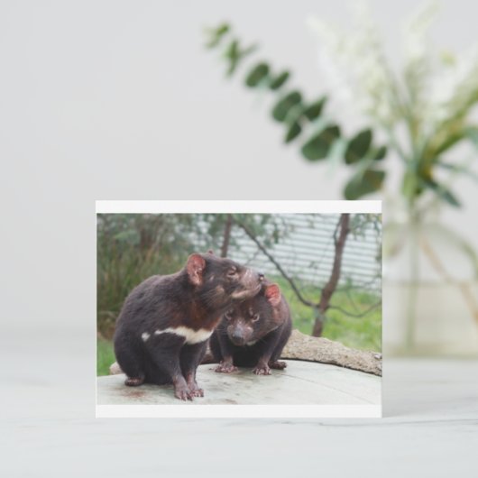 Ik ben een kleine duivel briefkaart (Staand voorkant)