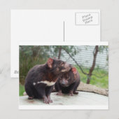 Ik ben een kleine duivel briefkaart (Voorkant / Achterkant)