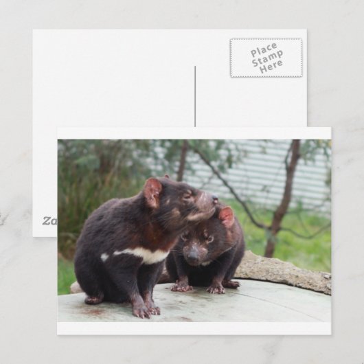 Ik ben een kleine duivel briefkaart (Voorkant / Achterkant)