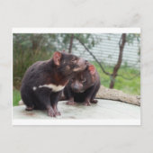 Ik ben een kleine duivel briefkaart (Voorkant)