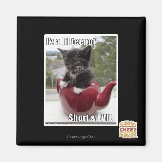 Ik ben een lil repot magneet (Voorkant)