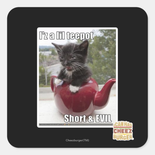 Ik ben een lil repot vierkante sticker (Voorkant)