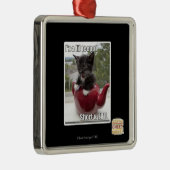 Ik ben een lil teepot metalen ornament (Rechts)