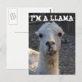 Ik ben een Llama Briefkaart (Voorkant / Achterkant)