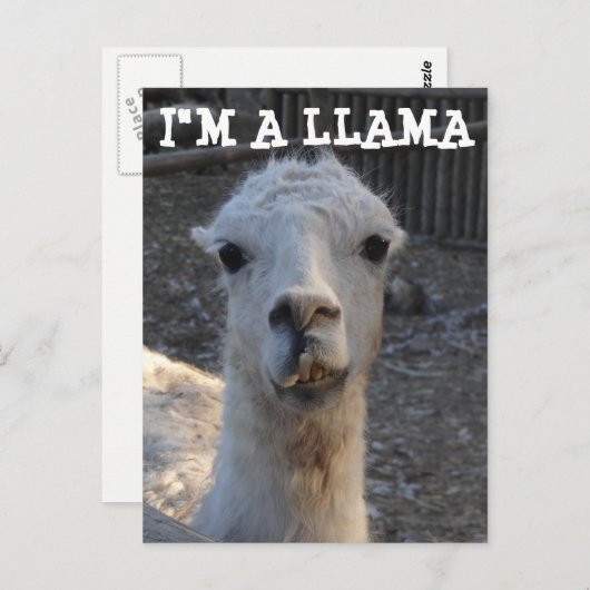 Ik ben een Llama Briefkaart (Voorkant / Achterkant)