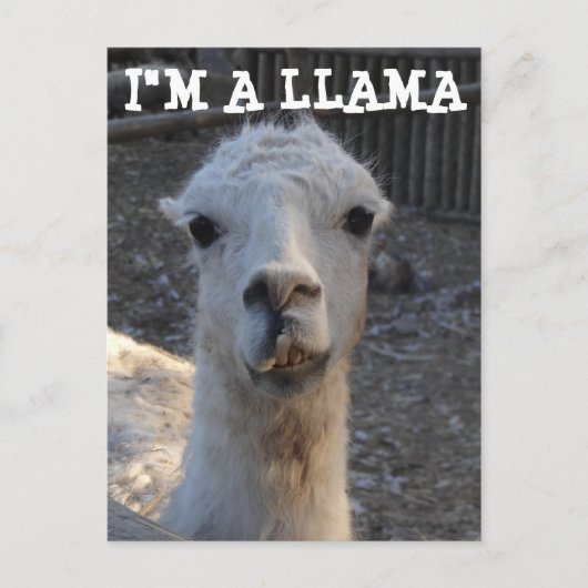 Ik ben een Llama Briefkaart (Voorkant)