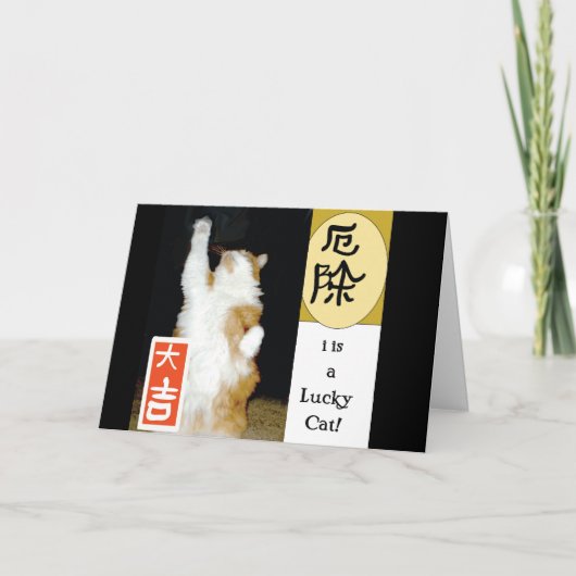 Ik ben een Lucky Cat, bedankt (Voorkant)
