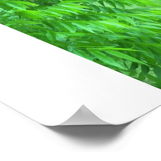 Ik ben een overlevende Poster (Hoek)