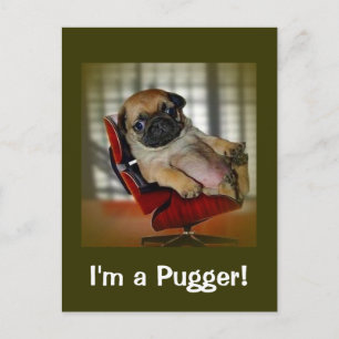 Ik ben een Pugger! Briefkaart