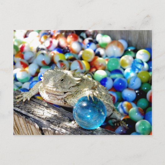 Ik ben een rechte schotel — "Marble Time" Briefkaart (Voorkant)