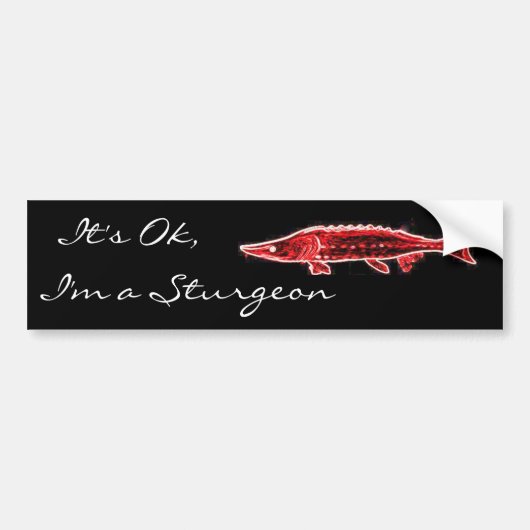 Ik ben een Sturgeon. Bumpersticker (Voorkant)