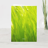 Ik ben een sucker voor jou: Sucker Fish Wenskaart Bedankkaart (Achterkant)